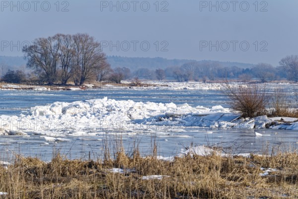 Ice skating on the Elbe and remnants of snow in the foothills of the Elbe on a clear winter day. Hohnstorf, Lüneburg District, Lower Saxony, Germany