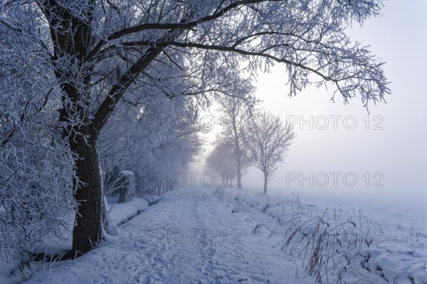 Hiking trail, Unterer Warwischer Wasserweg, in the snow on a hazy winter day in Hamburg's Vier- und Marschlanden. Kirchwerder, Hamburg, Germany
