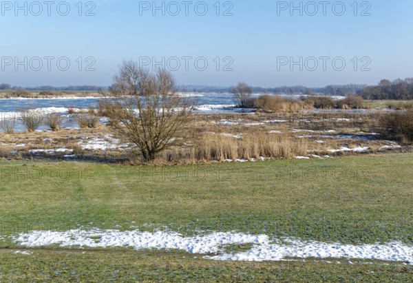 Icy riverbanks of the Elbe and remnants of snow in the foothills of the Elbe on a clear winter day. Hohnstorf, Lüneburg District, Lower Saxony, Germany