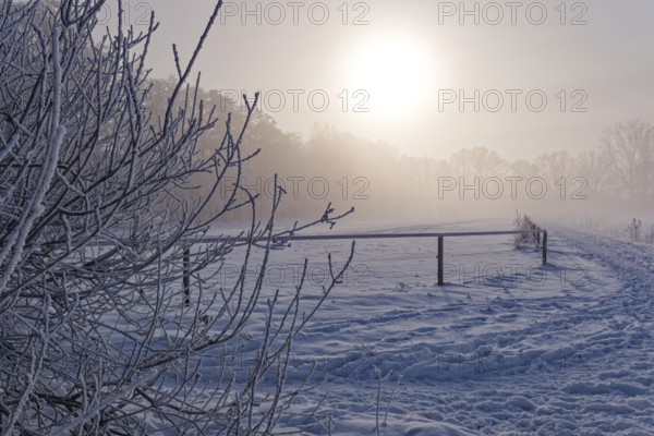 Traces in the snow in the diffuse light of the sun on a hazy winter day in Hamburg's Vier- und Marschlanden. Kirchwerder, Hamburg, Germany