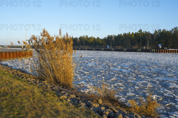 Winter landscape with canal lined with reeds and trees under clear blue sky, ice floes, Hohenwarthe lock, Elbe-Havel Canal, Jerichower Land, Saxony-Anhalt, Germany