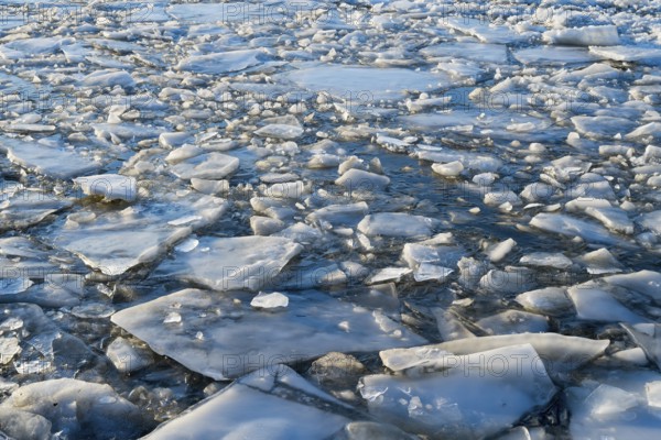 Frozen water with lots of ice floes in blue and white tones, ice floes, Elbe-Havel Canal, Jerichower Land, Saxony-Anhalt, Germany