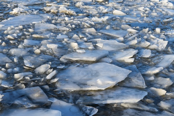 Frozen chunks of ice spread across the water surface in various shades of blue-gray, ice floes, Elbe-Havel Canal, Jerichower Land, Saxony-Anhalt, Germany