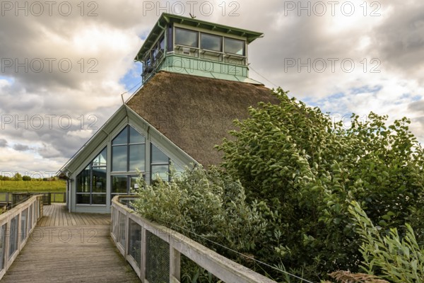Naturum Hornborgasjön modern thatched building with glass front and thatched roof, which stands in Lake Hornborgasjön and can be reached via footbridges, surrounded by plants under a dramatic sky, Broddetorp, Västra Götalands län, Sweden