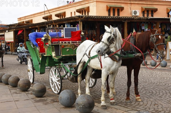 Horses and horse-drawn carriage for sightseeing tours with tourists, Marrakech, historic old town, Medina, UNESCO World Heritage Site, Morocco