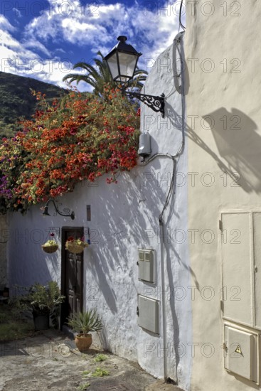 White house with blooming flowers and shade of a lantern against a blue sky, Icod de los Vinos Tenerife
