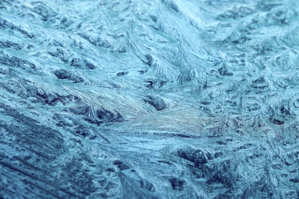 Beautiful ice flowers on a window, winter, Germany