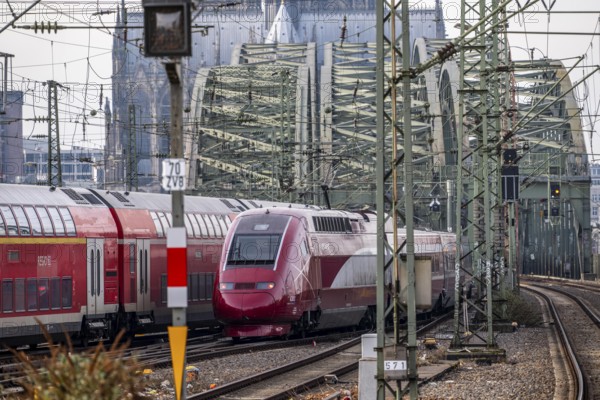 Rail track in front of Cologne Central Station, Hohenzollern Bridge across the Rhine, Eurostar long-distance train and regional trains, in front of the railway bridge, Cologne, North Rhine-Westphalia, Germany