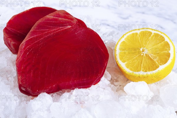 Fresh tuna and lemon, on ice ready, for preparation, at a seafood market