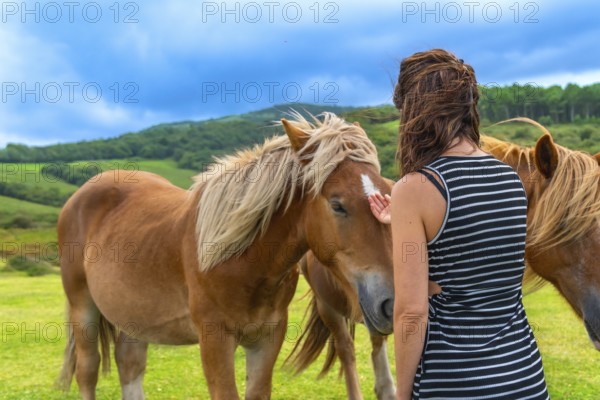 Woman gently touching a brown horse in a vibrant green pasture under a blue sky, fostering a connection and demonstrating animal welfare in a natural outdoors setting
