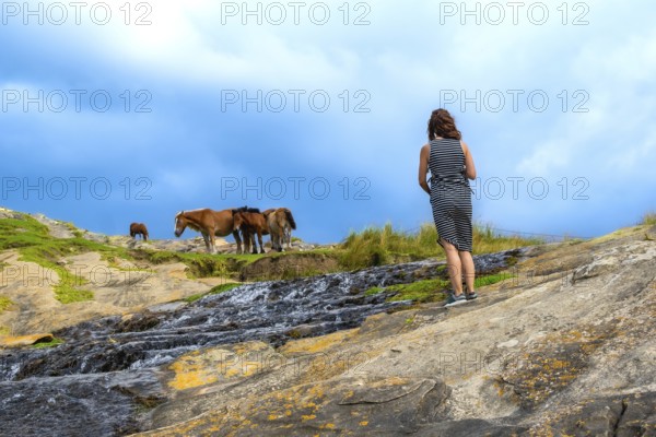 Woman standing on rocky slope, watching a herd of wild horses grazing on a grassy hillside beside a streaming creek under a cloudy blue summer sky, peaceful moment