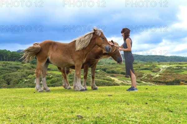 Woman gently petting brown horses in a wide green pasture, sharing a calm moment of bonding and friendship with animals under a blue sky in the peaceful countryside