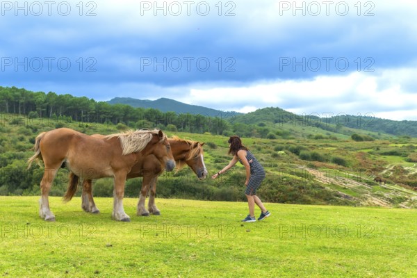 Woman extending an arm, feeding two brown horses standing on a green grass field, with rolling hills and pine trees under a cloudy sky in gipuzkoa, basque country