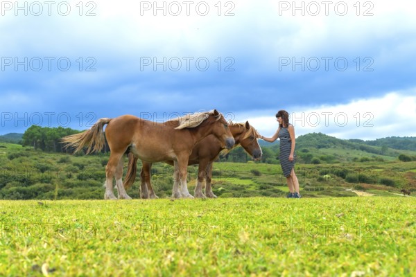 Woman standing on a lush green meadow, gently touching a wild horse while a second horse stands nearby, creating a strong connection in a scenic outdoor setting under a blue sky