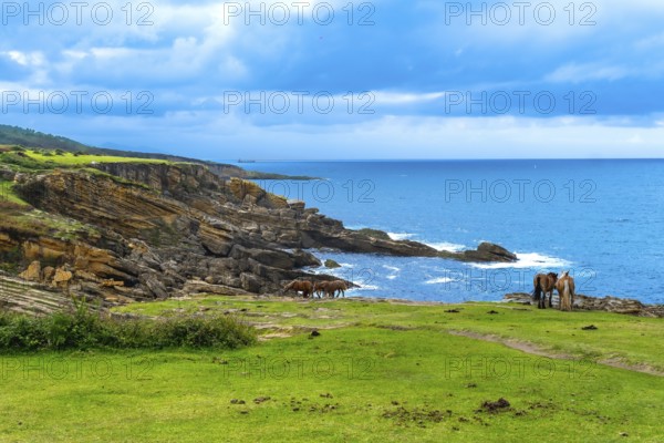 Wild horses graze on green pastures of mount jaizkibel, overlooking the cantabrian sea and rugged cliffs of the basque country coastline in gipuzkoa, spain