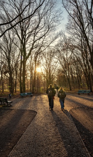 Back-lit walkers, Tiergartenpark, Berlin, Germany