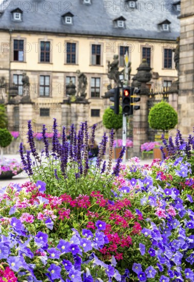 Flower arrangement in front of the city castle of Fulda, Hesse, Germany