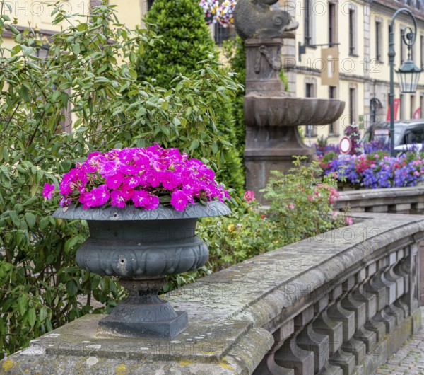 Flower arrangement in front of the city castle of Fulda, Hesse, Germany