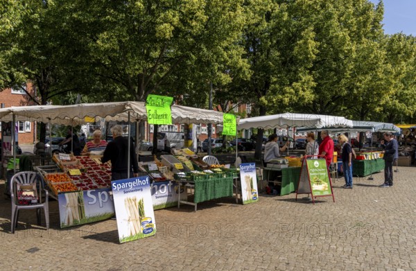 Weekly market on Bassinplatz, Potsdam, Brandenburg, Germany also