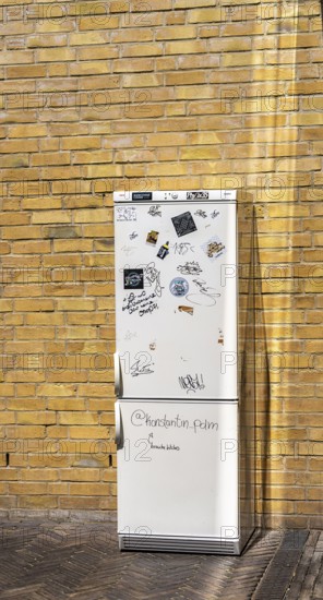 Old refrigerator is on a backyard, Potsdam, Brandenburg, Germany