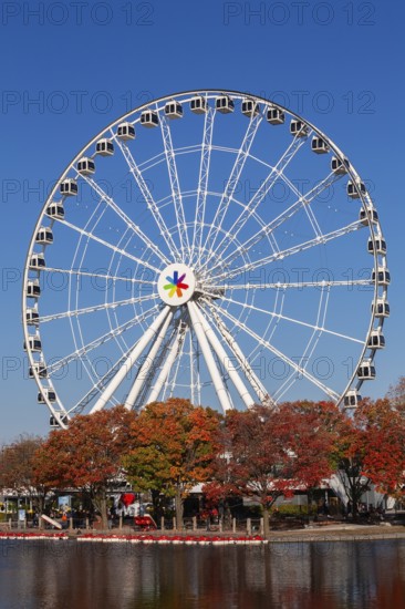 The Montreal Observation Ferris Wheel and Bassin Bonsecours in autumn, Old Port of Montreal, Quebec, Canada. George Ferris (1859–96), is the American engineer who invented the ferris wheel