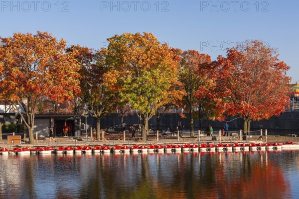 Moored recreational peddle boats in Bassin Bonsecours and Parc du Bassin Bonsecours in autumn, Old Port of Montreal, Quebec, Canada