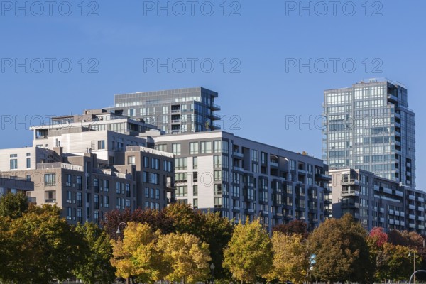 Group of luxurious multistorey high end residential condominium apartment buildings in autumn, Old Montreal, Quebec, Canada