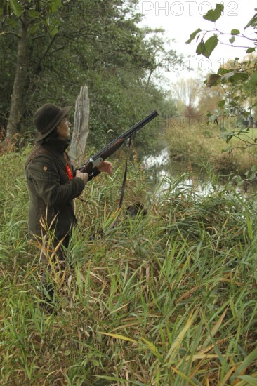 Female hunter with hunting rifle waits eagerly at the stream for flying ducks, Allgäu, Bavaria, Germany, Allgäu, Bavaria, Germany