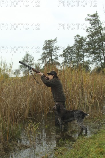 Huntress with hunting rifle stands in reeds in water and aims at flying ducks, hunting dog Cesky Fousek in her side, Allgäu, Bavaria, Germany, Allgäu, Bavaria, Germany
