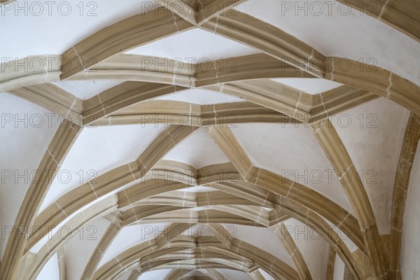 Ceiling, cloister, Blaubeuren Abbey, Swabian Jura, Baden-Württemberg, Germany