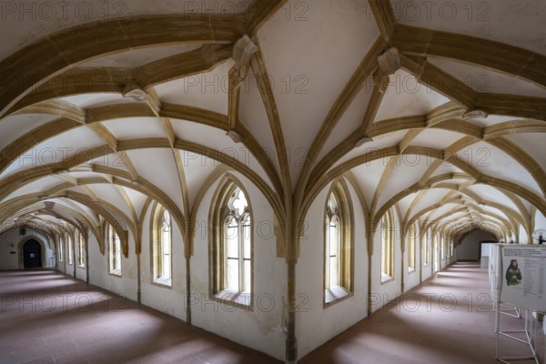 Cloister, ribbed vault, Blaubeuren Abbey, Swabian Jura, Baden-Württemberg, Germany