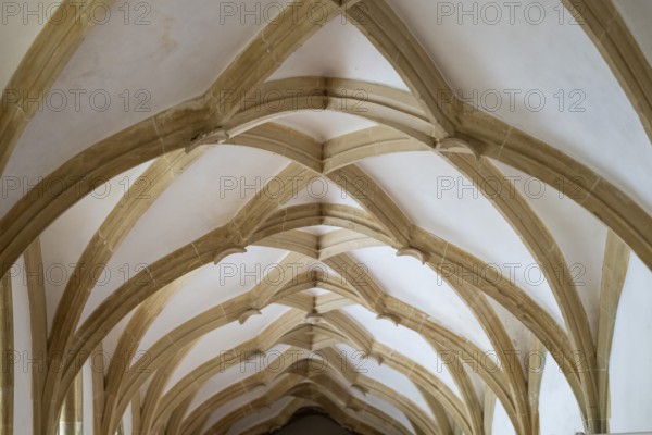 Cross-ribbed vault, cloister, Blaubeuren Abbey, Swabian Jura, Baden-Württemberg, Germany