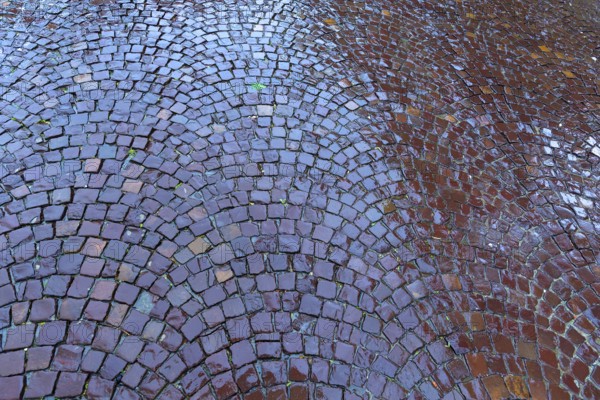 Rainy, paved street, Krakow, Poland