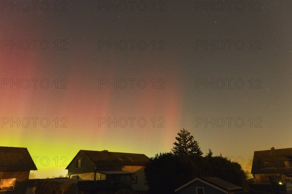 Red and green aurora borealis in the night sky above houses, trees silhouetted, aurora borealis, Ilsede, Lower Saxony, Germany