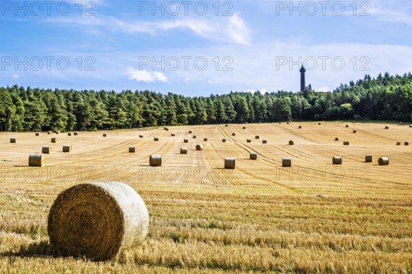 Straw bales in the Scottish fields, Southeast Scotland, UK