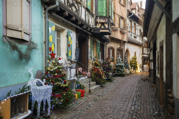 Christmassy decorated houses and alley with half-timbered houses, Christmas market, Eguisheim, Haut-Rhin department, Grand Est region, Alsace, France