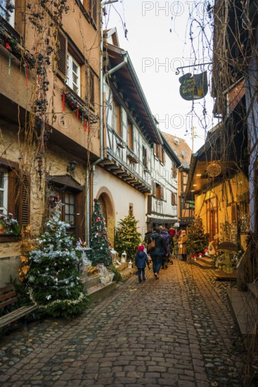 Christmassy decorated houses and alley with half-timbered houses, Christmas market, Eguisheim, Haut-Rhin department, Grand Est region, Alsace, France