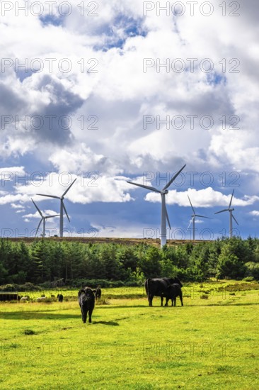 Wind Farm in southeast Scotland, UK