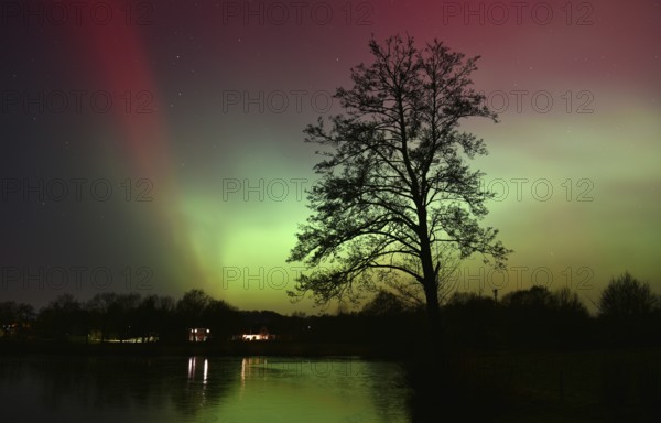 Northern lights, northern lights, on a lake in Schleswig-Holstein, Germany