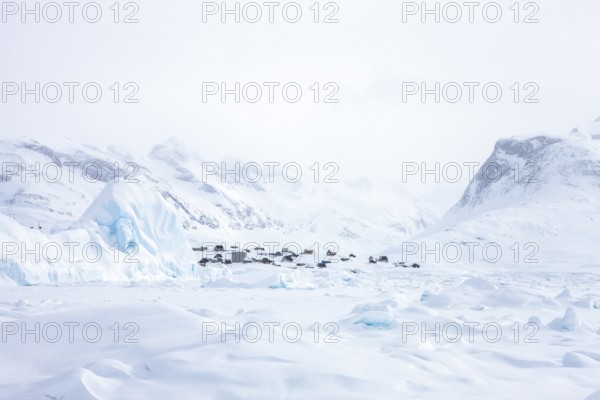 Tiniteqilaaq covered in snow during winter. The village is one of five settlements around Ammassalik Island, located in the Sermersooq municipality on Ikasativaq Fjord, north of Ammassalik Island and facing Sermilik, Greenland, North America