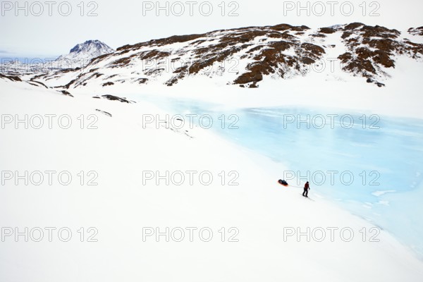 A tourist on a winter Arctic expedition skiing along Ikasartivaq Fjord, Sermersooq municipality, north of Ammassalik Island and facing Sermilik, Greenland, North America