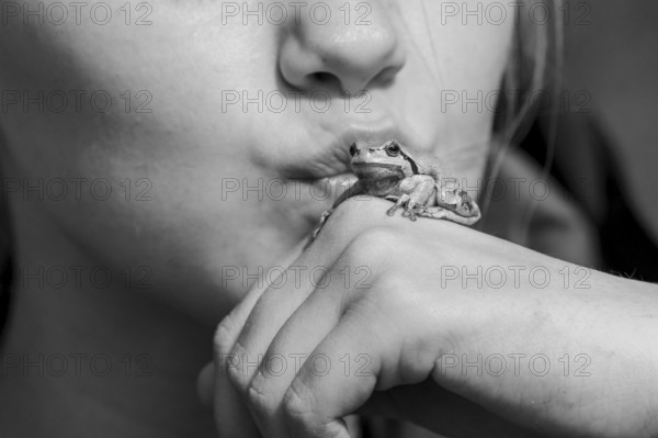A young woman kisses a small frog Frog King Tree Frog (Hyla arborea) sitting on her hand close-up, black and white photograph, Dümmer nature park Park, Lower Saxony, Germany