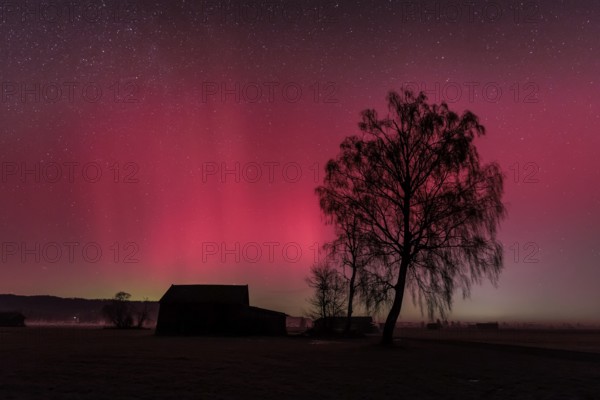 Northern lights, aurora borealis, solar storm, January 2026, red, green, hut, trees, birch, Loisach-Lake Kochel-Moore, Alpine foothills, Bavaria, Germany