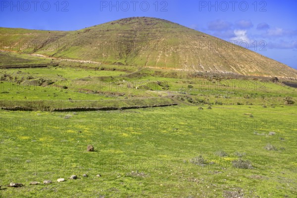 Green valley with hills and blooming meadows, Yaiza Lanzarote