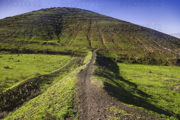 Thin trail leads over a grassy hill under clear skies, Yaiza Lanzarote