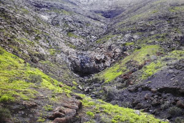 Rocky hilly area with green vegetation and rocky elevations, Yaiza Lanzarote