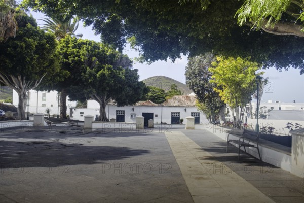 A quiet park with benches and old trees in front of a building, Yaiza Lanzarote