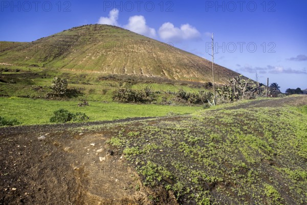 A hilly area of green vegetation under a clear sky, Yaiza Lanzarote