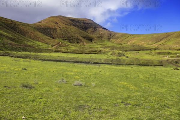 Green fields against a hilly background with blue sky and scattered clouds, Yaiza Lanzarote