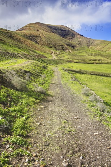 Green trail in a hilly valley under blue skies, Yaiza Lanzarote